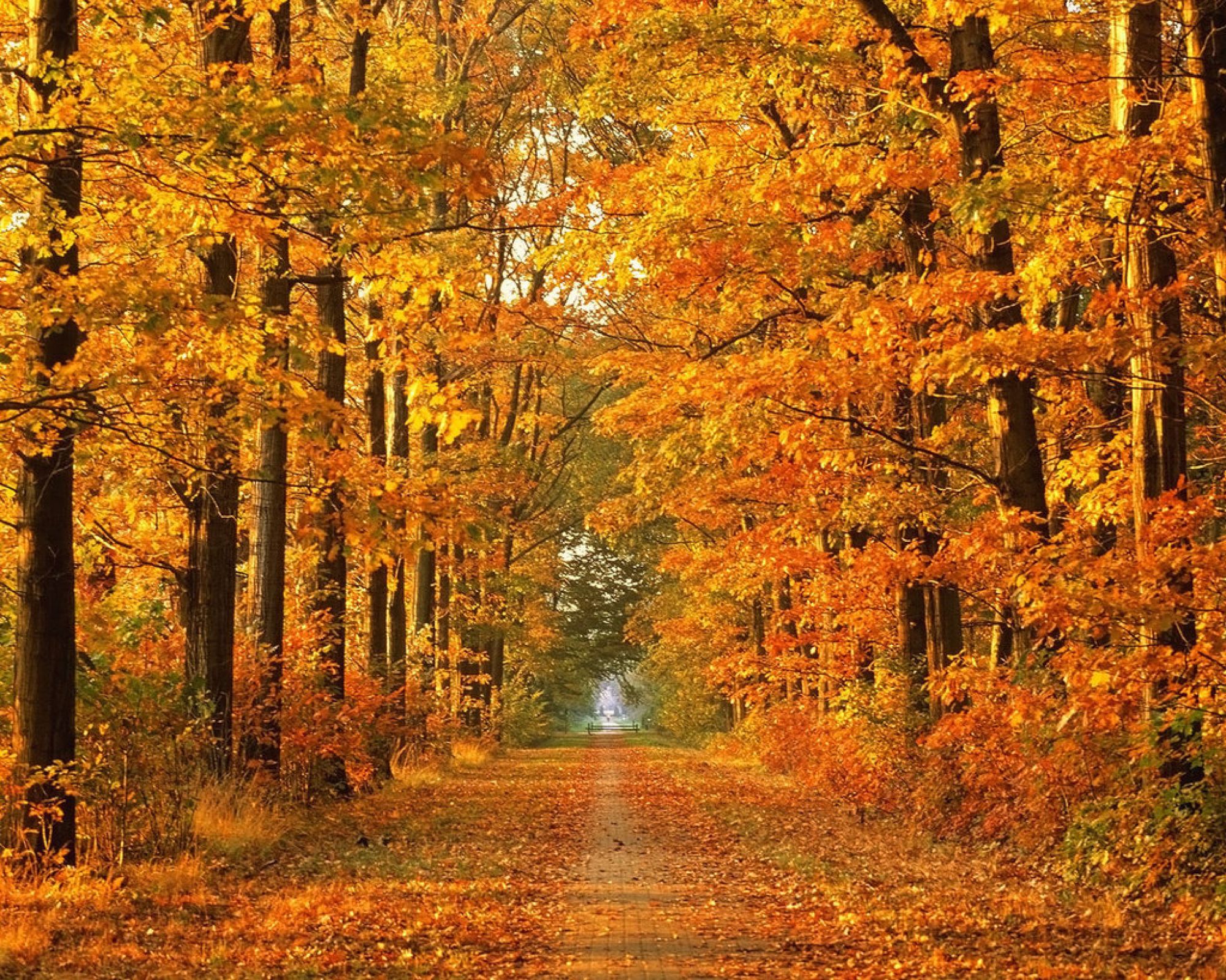 Autumn